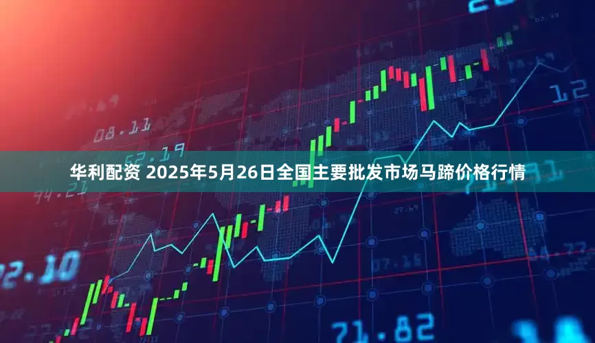 华利配资 2025年5月26日全国主要批发市场马蹄价格行情
