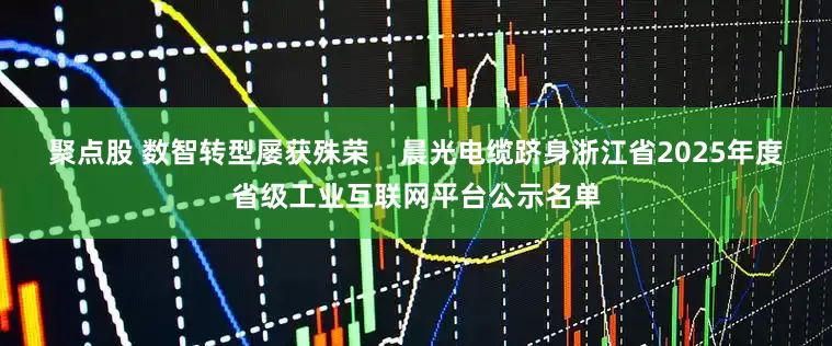 聚点股 数智转型屡获殊荣    晨光电缆跻身浙江省2025年度省级工业互联网平台公示名单